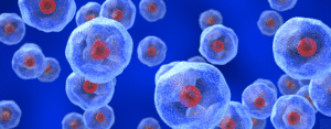 Exosomes
