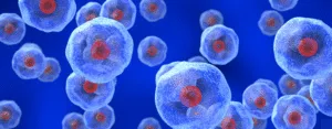 Exosomes